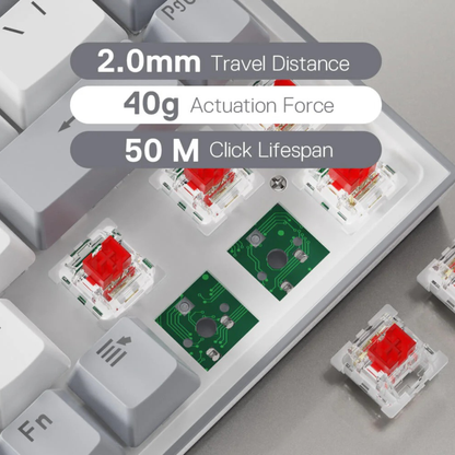 Castor K631 Grey 65% Wired RGB Mechanical Gaming Keyboard