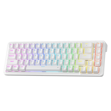 Redragon K709 65% Wired Gasket RGB Mechanical Gaming Keyboard