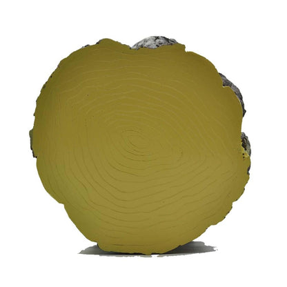 Tree Stump Root Shape 5 Inch Coaxial PA System Outdoor Garden Speaker 20W