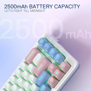 Redragon K709 PRO 65% Wireless Gasket RGB Mechanical Gaming Keyboard