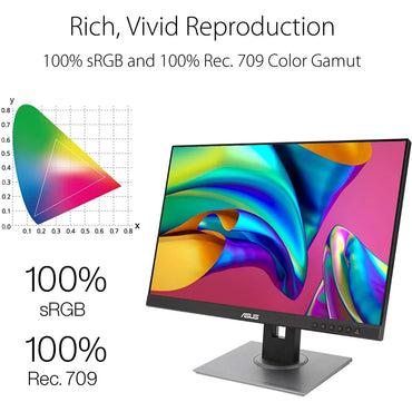 ASUS ProArt PA248QV Monitor Jordan