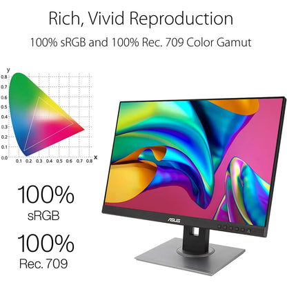 ASUS ProArt PA248QV Monitor Jordan