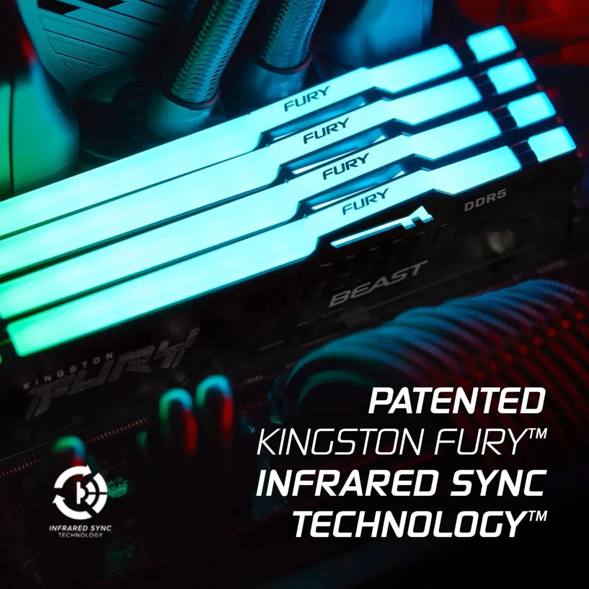 كينغستون فيوري بيست RGB سعة 32 جيجابايت DDR5 بتردد 5600 ميجاهرتز وزمن استجابة CL36